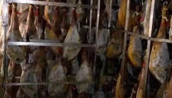 Canpipork - Salamanca