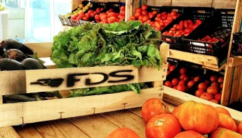 Formentera Delivery Service - 07860 La Savina