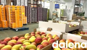 Froiz, plataforma de frutas y verduras - 48