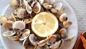 Marisqueria palenzuela - Palenzuela