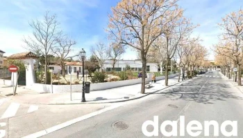 Market Sun - Brunete