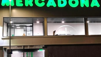Mercadona - S/n
