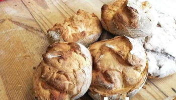 Panadería Alvapán - Caravia