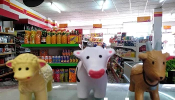 Supermercado Liliamar - 79