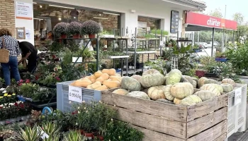 Supermercados Charter - Km 11