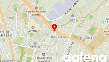 Virgen De La Hiniesta - Zamora