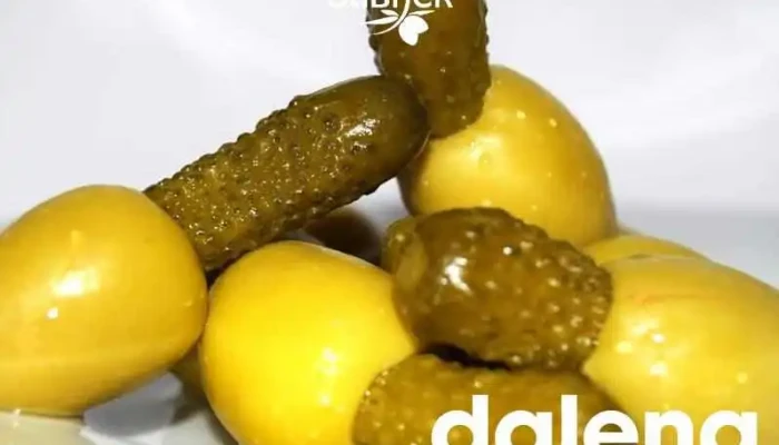Aceitunas Olibher Palencia -  Del Propietario - Palencia