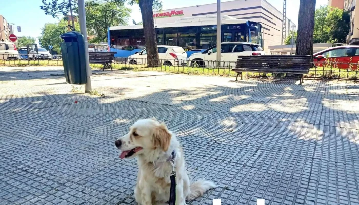 Ahorramas -  Estacionamiento - Madrid