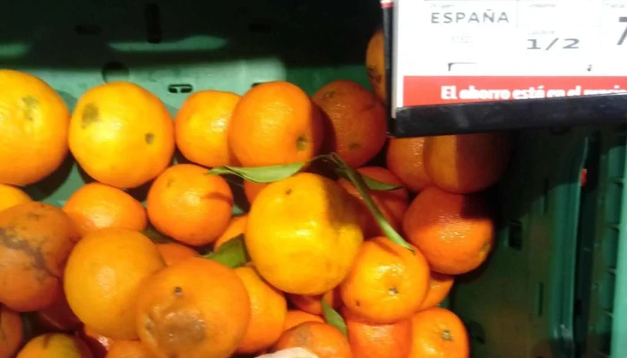 Alcampo -  Sitio Web - Madrid