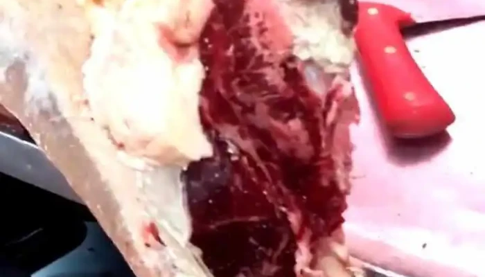 Alcampo Supermercado -  Videos - Madrid