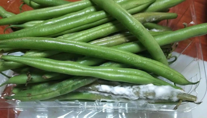 Aldi -  Opiniones - Zamora
