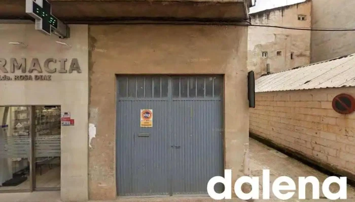 Alea Udaco - 1