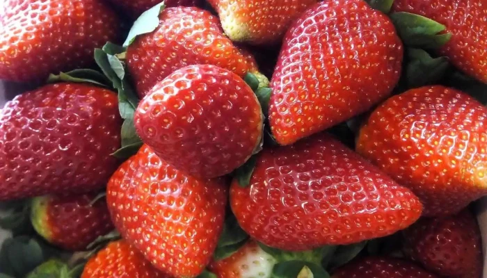 Alimentacion La Pernia Del Propietario - Venta de Baños