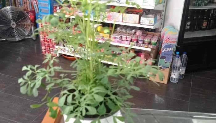 Alimentacion Y Bazar Interior - Ciempozuelos