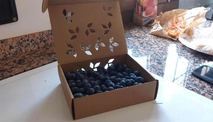 Arandanos Aida Inguanzo Supermercado - Inguanzo