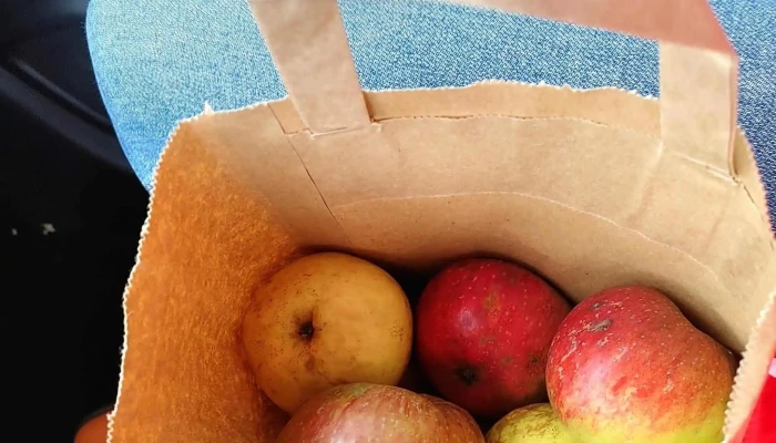 Arandanos Y Manzanas De Muno Catalogo - Asturias