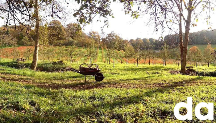 Arandanos Y Manzanas De Muno Del Propietario - Asturias