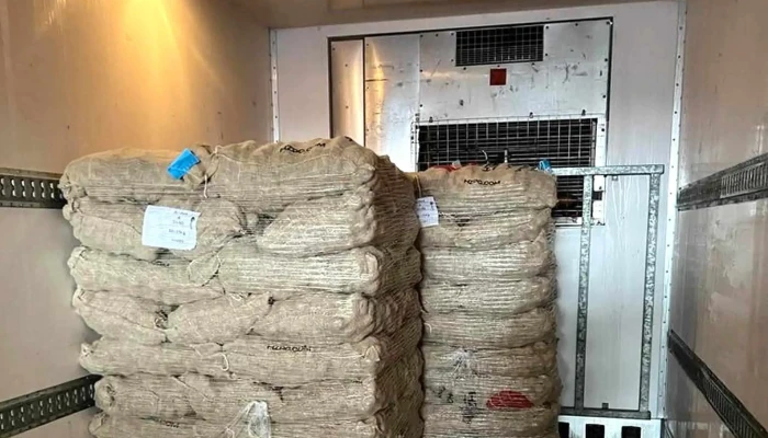 Aranpino De Salamanca S Coop Como Llegar - Cantalpino