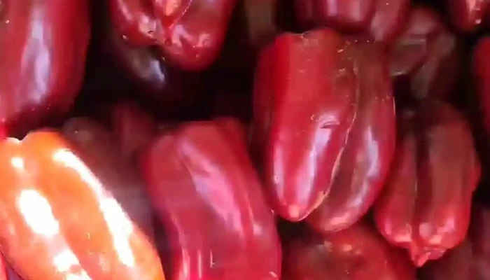 Ay Madre La Fruta Del Propietario - Colmenar Viejo