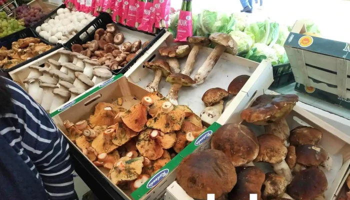 Ay Madre La Fruta Interior - Colmenar Viejo