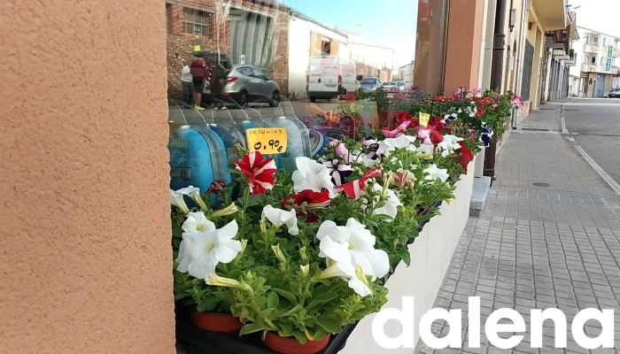 Bazar La Suerte -  Del Propietario - Vitigudino