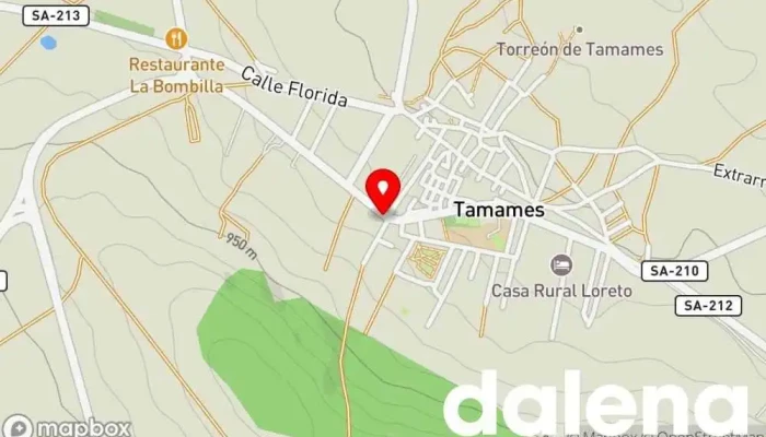 mapa de Cárnicas Madroñal Carnicería en Tamames