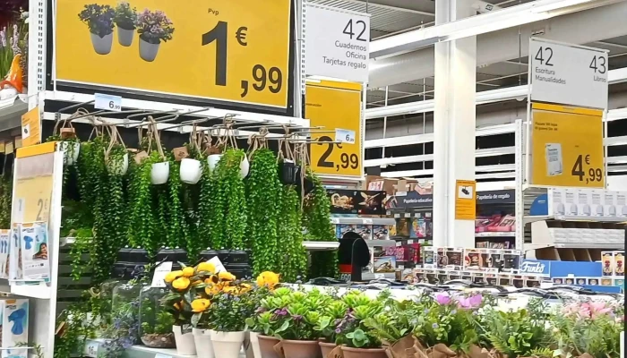 Carrefour -  Descuentos - San Sebastián de los Reyes