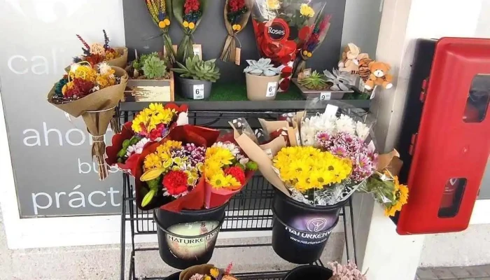 Carrefour Express Eess -  Alimento - Boadilla del Monte