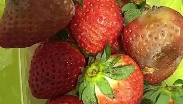 Carrefour Market -  Videos - Madrid