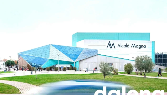 Centro Comercial Alcala Magna Del Propietario - Alcalá de Henares