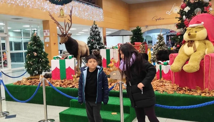 Centro Comercial Carrefour Salamanca -  Comentarios - Salamanca