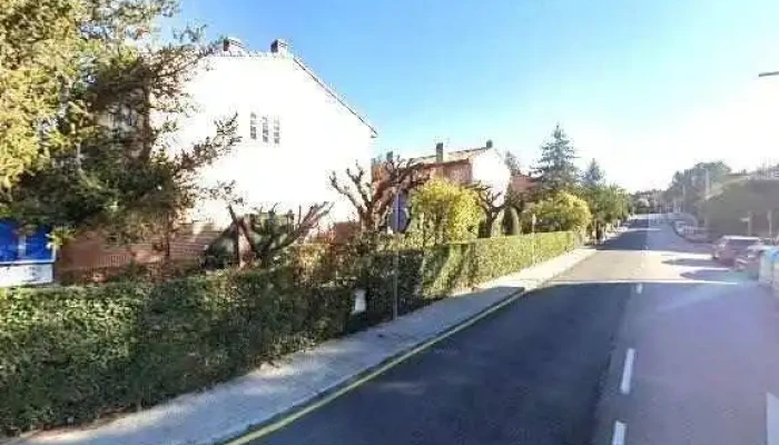 Chino Alimentario -  Cerca De Mi - Las Rozas de Madrid