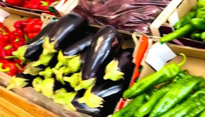 El Rincon De La Huerta Videos - Campo Real
