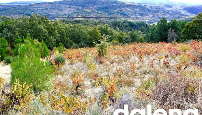 El Tornadizo - El Tornadizo