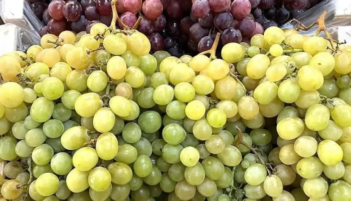 Fruteria Alhambra Alpedreteservicio A Domicilio Gratuito Del Propietario - Alpedrete