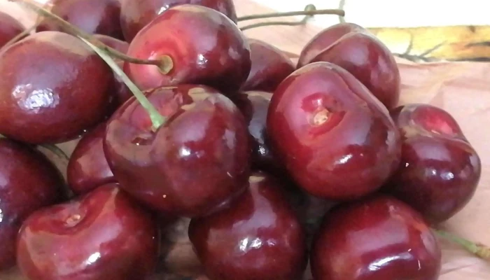 Fruteria Coral Direccion - Palencia