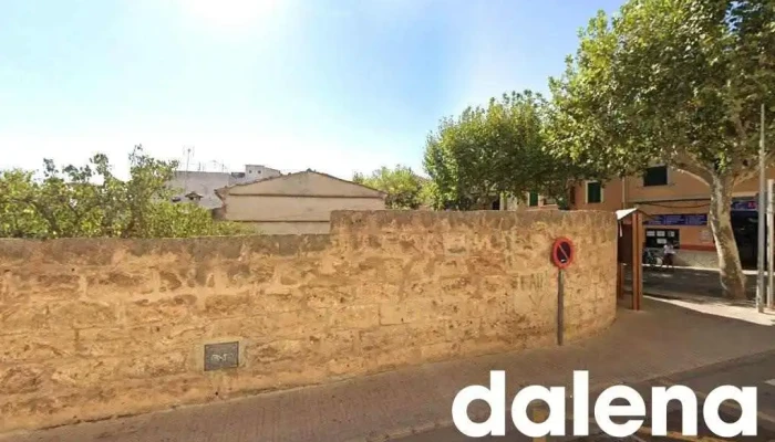 Garden fruteria y vardura - Balearic Islands
