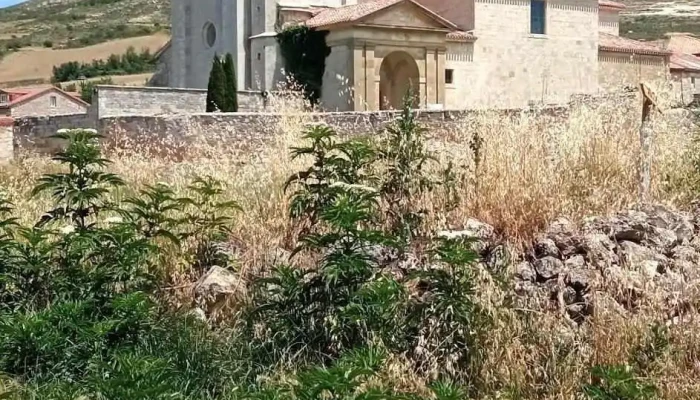 Huermeces De Los Visitantes - Huérmeces