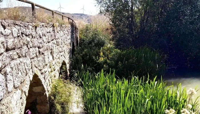 Huermeces Descuentos - Huérmeces