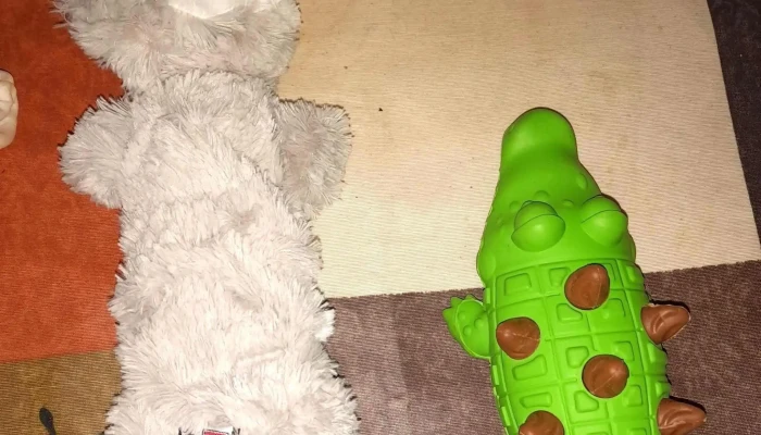 Kiwoko Mundo Animal Precios - Palencia