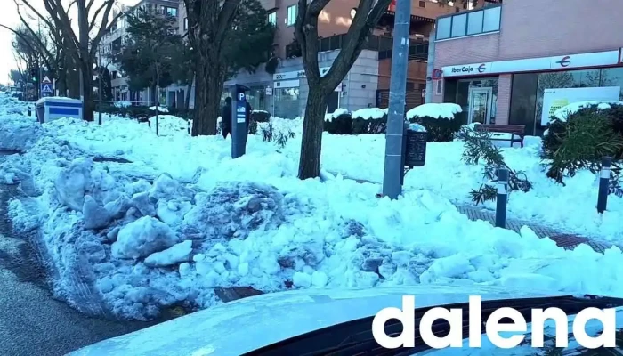 La Sirena -  Videos - Alcobendas