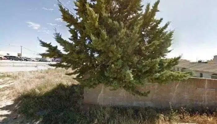 Legumbres Astorga -  Puntaje - Lerma