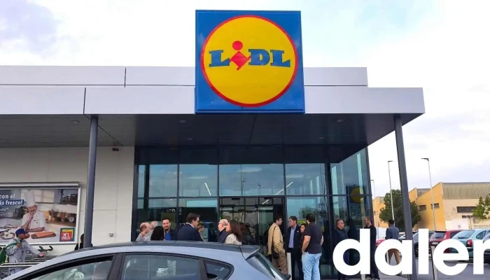 Lidl - 32