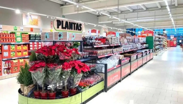 Lidl - 53