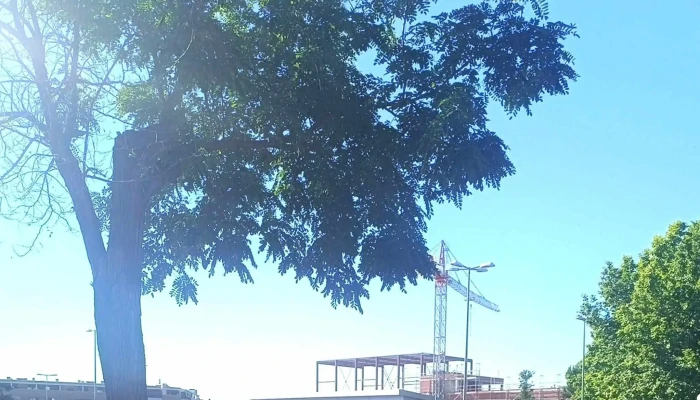 Lidl - Madrid