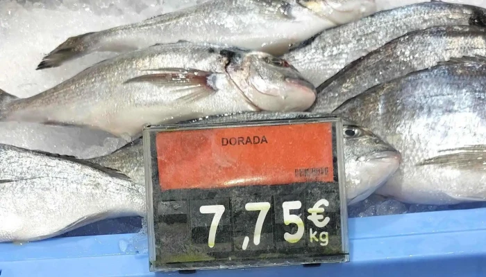 Mercadona -  Direccion - Madrid
