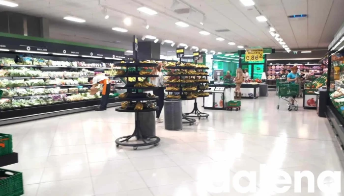 Mercadona -  Interior - Fuente El Saz de Jarama