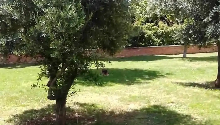 Mercadona -  Videos - Alcalá de Henares