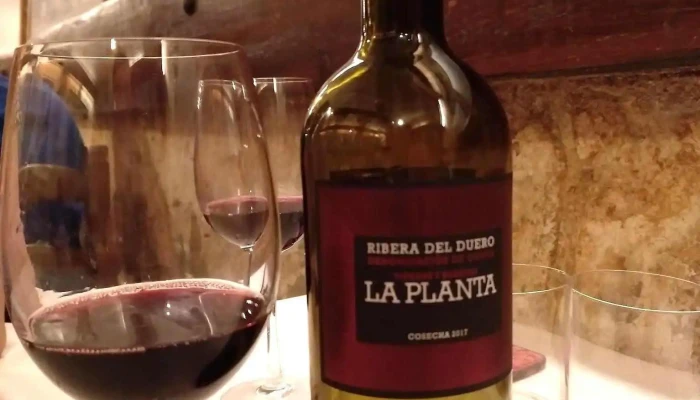 Meson Del Cerrato Vino - Tariego de Cerrato