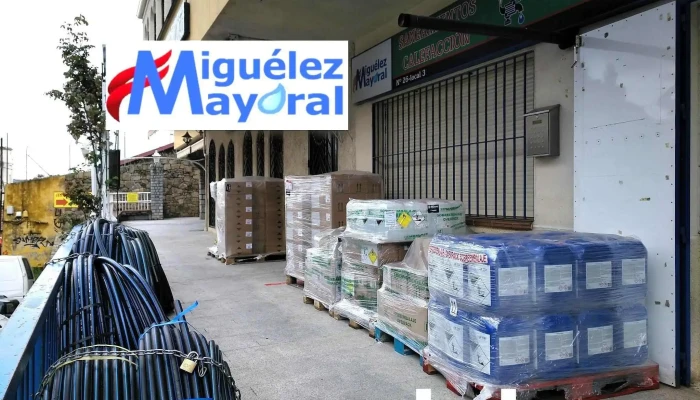 Miguelez Mayoral Del Propietario - Cercedilla
